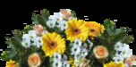 Strauß Blumen aufs Zimmer