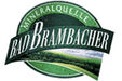 Bad Brambach mineral water medium 0.5l